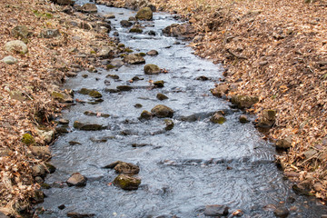 Winter creek flowing slowly through woods.