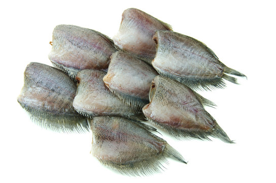 dried Snake Skin Gourami isolated on white background