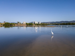 Itaipu lagoon, blue sky, with a solitary white heron, Ardea alba, in the city of  Niteroi, Rio de Janeiro state, Brazil.