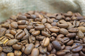 Coffee beans roasted to golden and brown are on the counter in the store