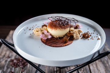 tiramisu with cacao powder and chocolate