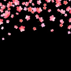 black background with sakura