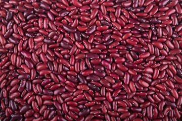 Background from a layer of red large beans