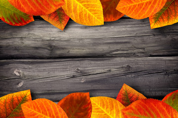 Holzhintergrund mit Herbstblättern
