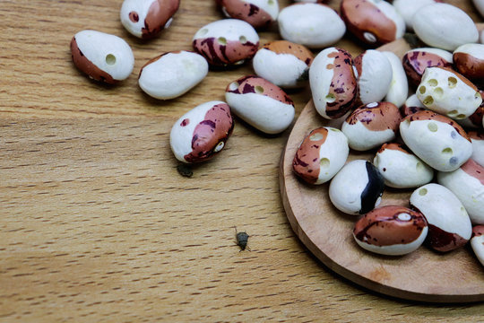 Close-up of colored beans struck by beetle beetle bugs. Dried haricot eaten by insects on wooden background. Perforated Bean Beans. (Acanthoscelides obtectus)
