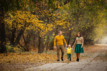 Family weared in autumn-style clothes (orange, yellow and green colors) walk in autumn landscape. Alley covered with yellow foliage. Autumn walk outdoors. Mom, Dad and little son in autumn park
