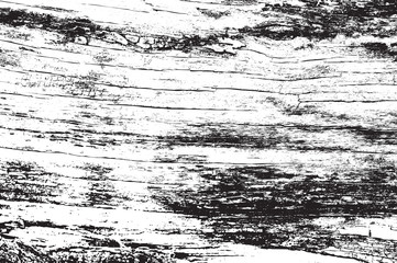 Obraz premium Abstract vector background for design use. Wooden texture background.