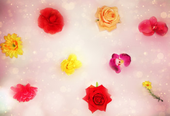 spring background of flowering roses and leaves