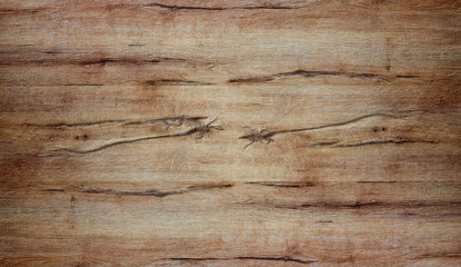 Naklejka na ściany i meble Light wood texture background surface with old natural pattern. Vintage