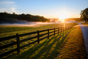 Beautiful Color Rural Landscape Nature Photo with Fence and Pathway Road Along Field Pasture Filled...