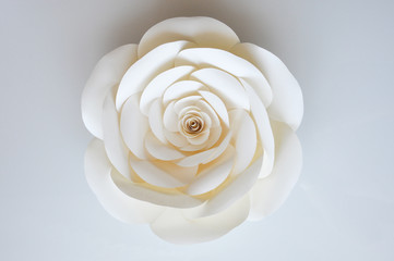 White paper flower on a light background.