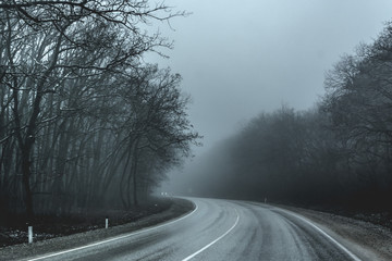 road in a thick fog. black- and-white image of trees, roads in fog
