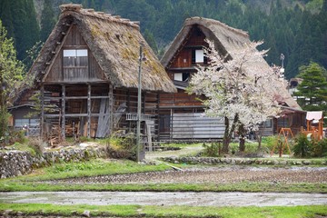Fototapeta na wymiar Shirakawa-go village, Japan