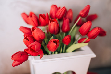 bouquet of red tulips to the day of lovers or on March, 8th