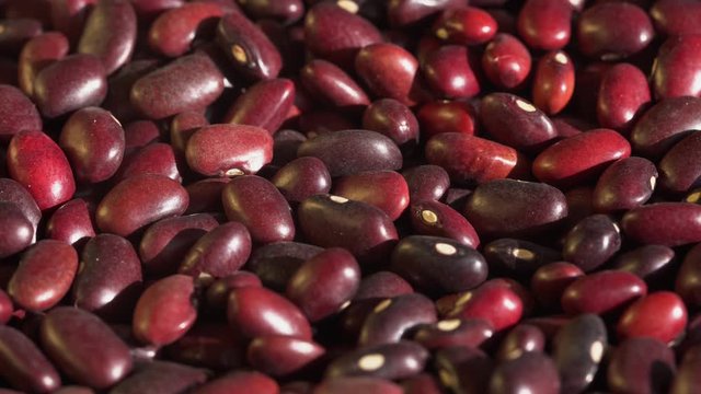 Vegan protein sources. Beans red