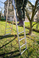   A gardener climbing the ladder while working in the garden.