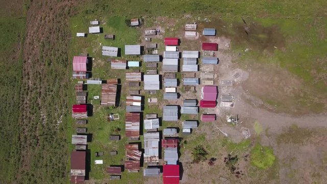 aerial view looking down a tropical seva cemetery with a bird flying over