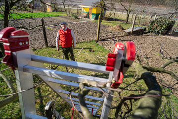Man pruning fruit tree branches. Work in the home garden. A scene from everyday life.
