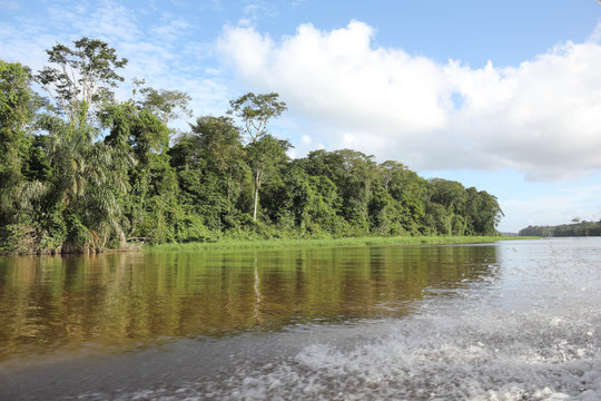 Boat tour on Suerte River from la pavona tp Tortuguerro, driving on a boat to Tortuguero, incredible landscape and nature around the river, Costa Rica, Central America