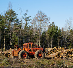 Logging Skidder parked in forest clearing