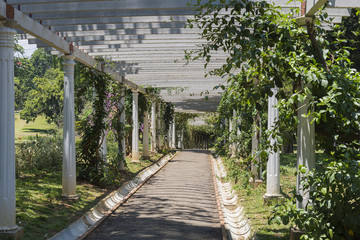  Kandy Peradeniya Botanical Gardens pergola wooden walkway with view into the distance