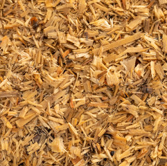 texture of wood chips after wood cut