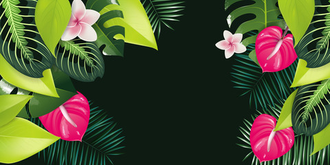tropical illustration background