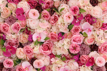 Fototapeta na wymiar Roses in floral background