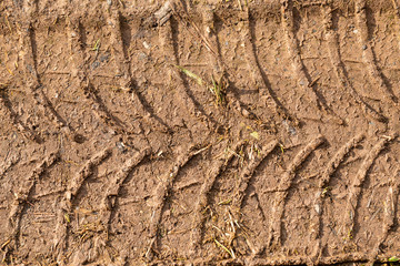 texture of car tire trail in mud