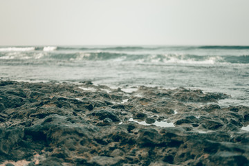 Skeleton of green-gray coral reef on the shore at the water's edge in Hikkaduwa, Sri Lanka