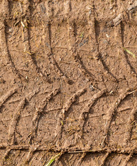texture of car tire trail in mud