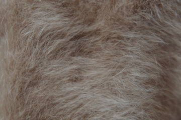beige and white wool close-up