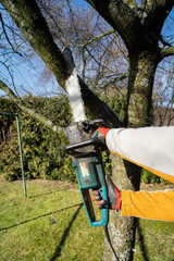 The gardener cut with a chainsaw.