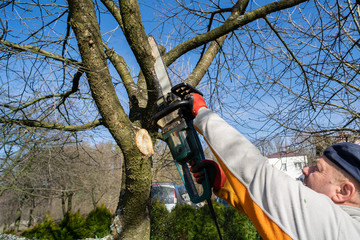 The gardener cut with a chainsaw.