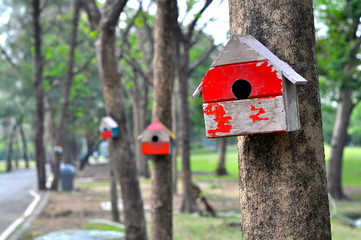 red wooden house for squirrel hanging on the tree in the park