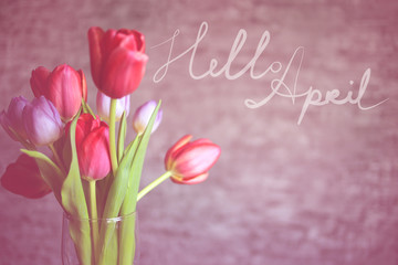 Hello April card. Spring background with beautiful colorful tulips.