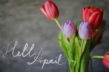 Hello April card. Spring background with beautiful colorful tulips.