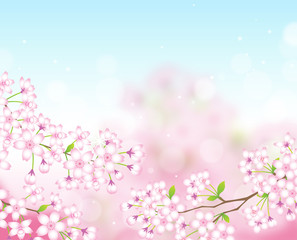 桜　さくら　背景　素材