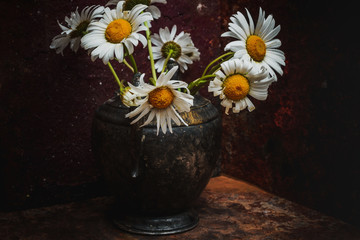 Daisy blooming flowers- vintage vase metal