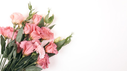 Beauty pink eustoma flower isolated on white background