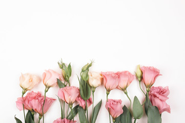 Naklejka na ściany i meble beauty pink eustoma flower isolated on white background