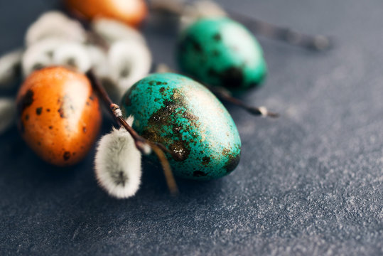 Easter background. Bright green and orange easter quail eggs and fluffy willow branches on a black background, closeup