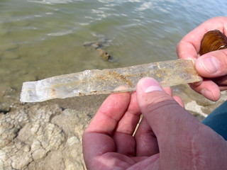 Mica in a man's hand. Bank of the Tsimlyansky reservoir.