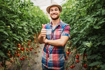 Happy and smiling young adult man working in greenhouse.