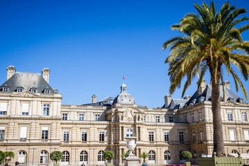 Fototapeta na wymiar Luxembourg Palace and Gardens, Paris
