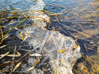 Clear ice melting from snow remains