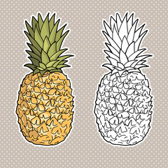 Isolated pineapples.  Graphic stylized drawing. Vector illustration. Black and white