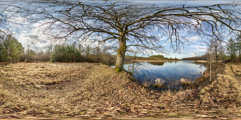 full seamless spherical hdri panorama 360 degrees angle view on pedestrian walking path among oak...