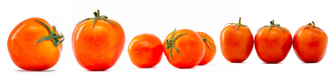 Tomato vegetables isolated on white. Fresh tomato fruit Clipping Path. Tomato macro photo