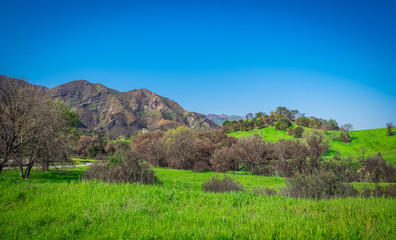 Malibu Creek State Park in the Santa Monica Mountains in spring 2019